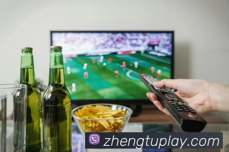 数据分析功能
